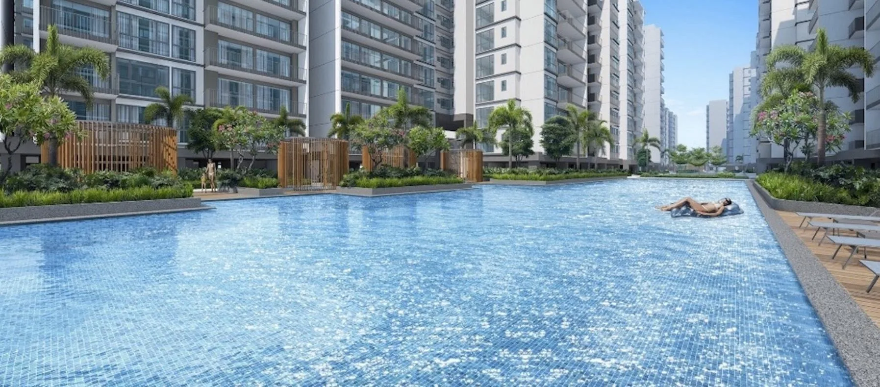 50m Main Pool